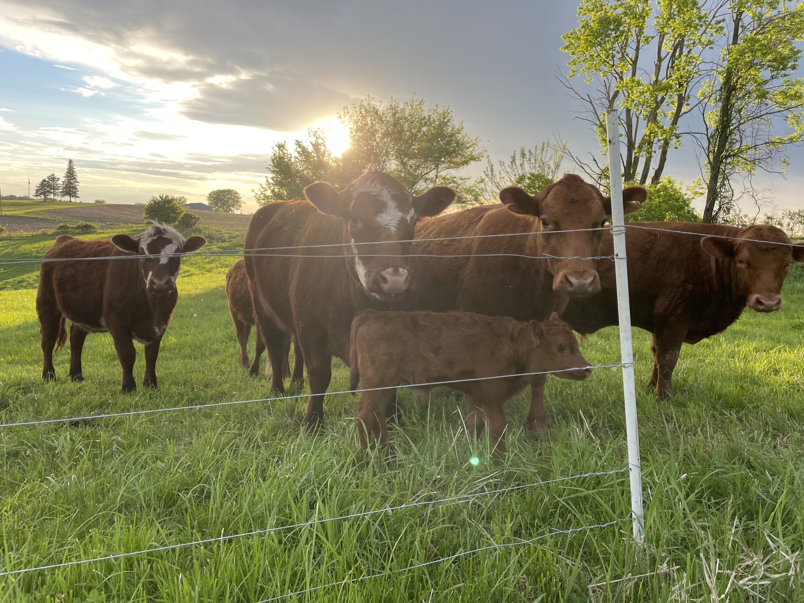 2b3020c1 5269 4af8 b74a 47ed37ea245e