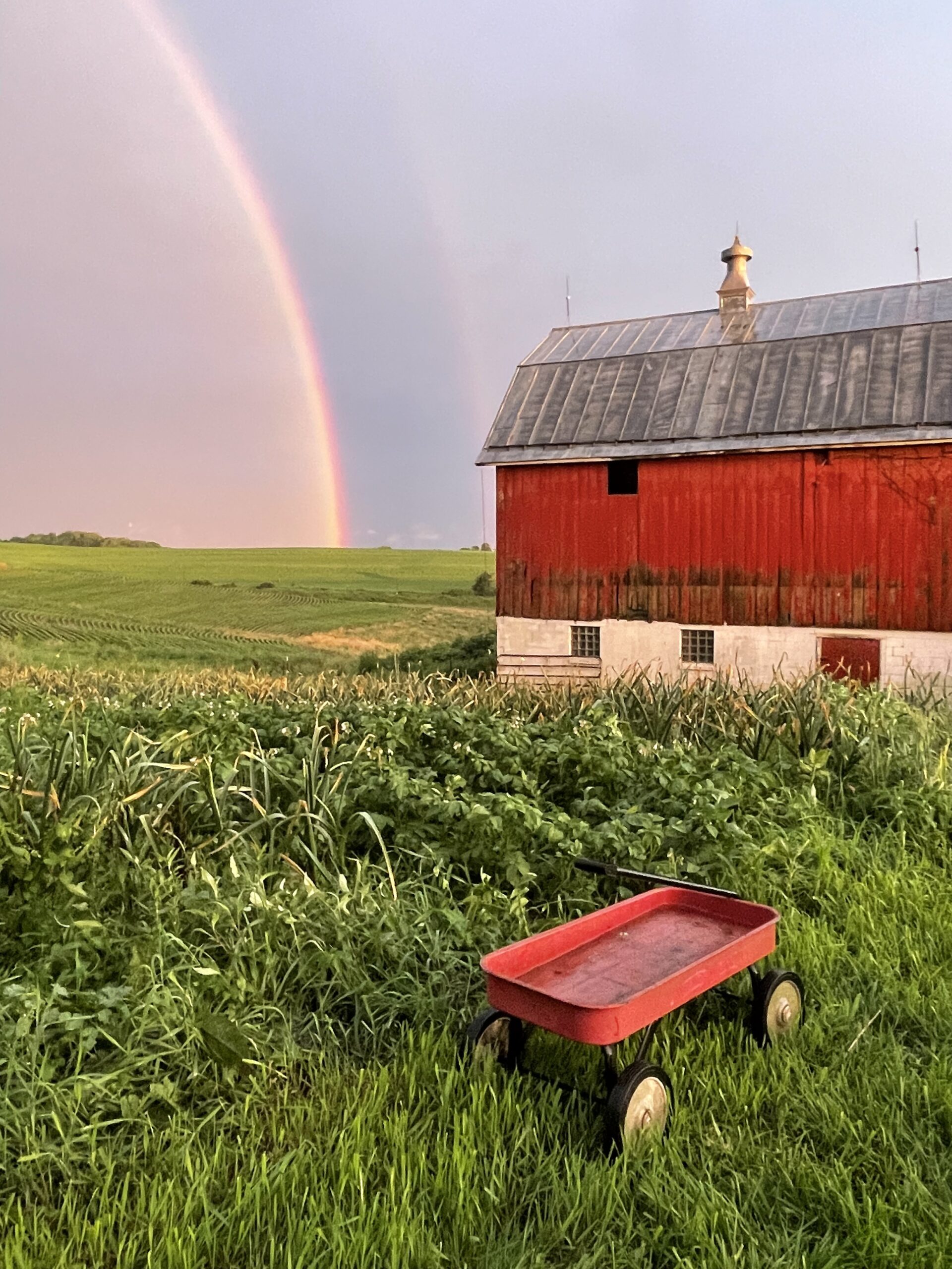 vanwykfamilyfarms.com